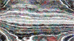 branchy filaments :: dampscribbler2