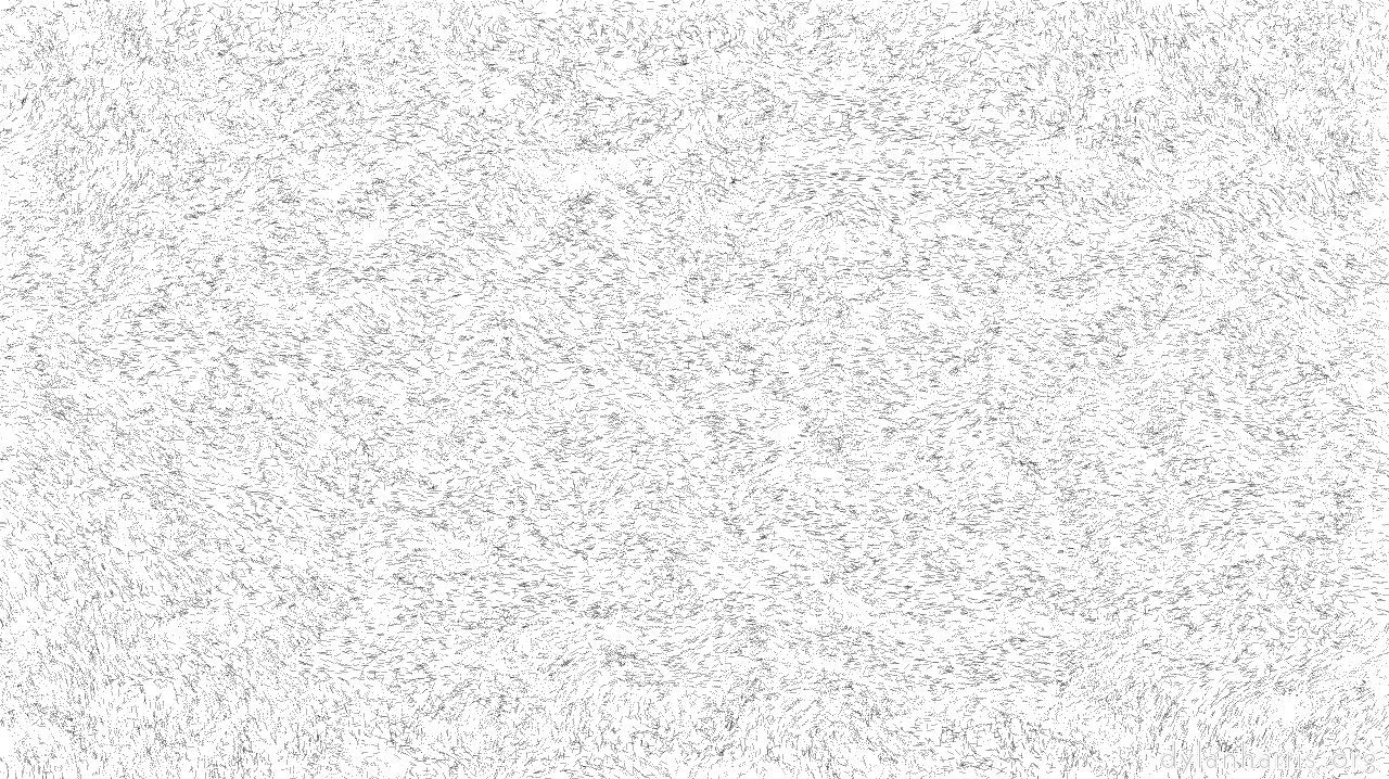 bxtxdisplacemod1
