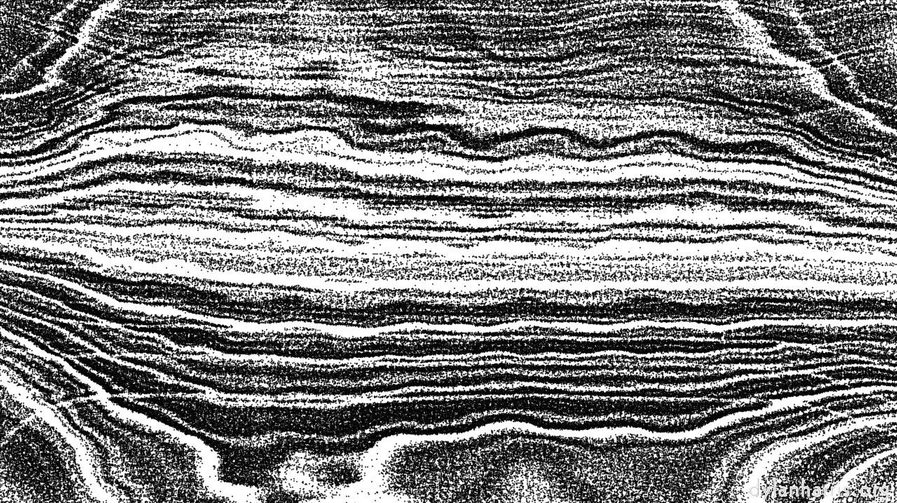 randomhalftoneregiongrid1