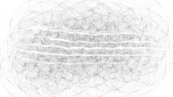 bw hatch :: bwattractor1