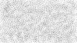 bw hatch :: pencilregionfill1