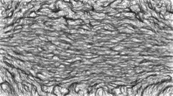 bw hatch :: pencilsketcher