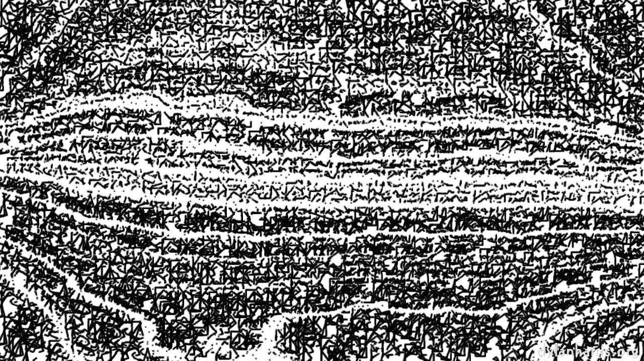 bwtreeringhatcher1