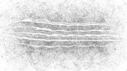 bw hatch 1 :: bwcookiehatcher2