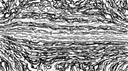bw hatch 1 :: bwedgehatcher2