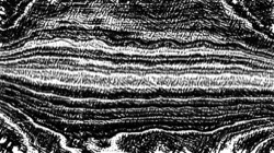 bw hatch 1 :: bwedgevariatorhatch1