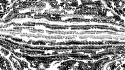 bw hatch 1 :: bwmultipenbuildupimage