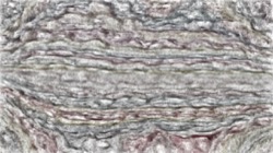 damp :: dampmistpaint1