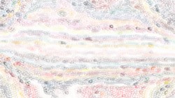 generative brush examples :: genbrush7