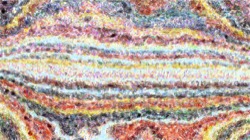 movie brush 2 :: iploadmoviebrush1