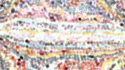movie brush 2 :: iploadmoviebrush2