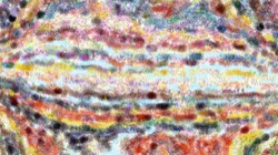 movie brush 2 :: iploadmoviebrush4