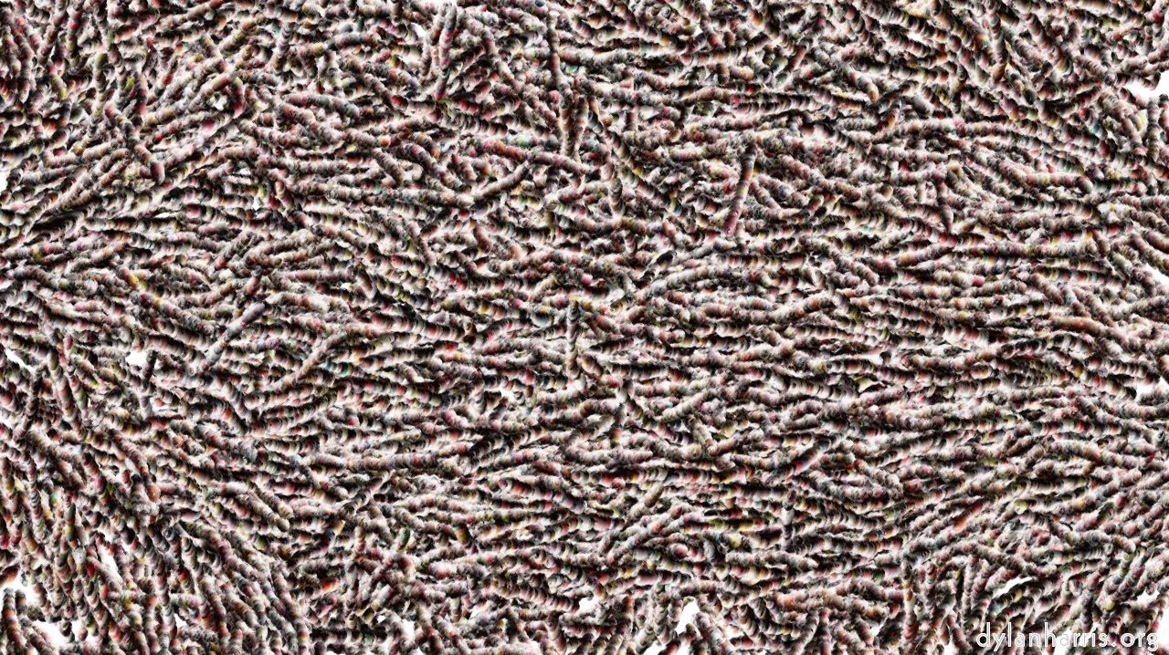coralpolyps1