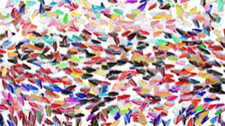 particle pen :: coralpolyps2