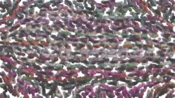 particle pen :: whispersliquid1