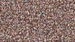 patterns :: texturepattern1