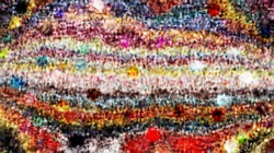 soft :: multinib1