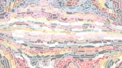 soft :: smoothbutslow1