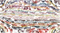 soft :: softorientshiftsprackle