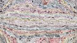 texture strokes :: texture1