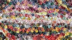 abstract cloners :: starfish1