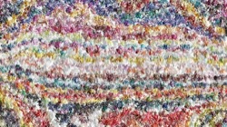 bristle paints :: scratchy3