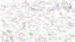 bristle paints :: wildcolourbuildup1