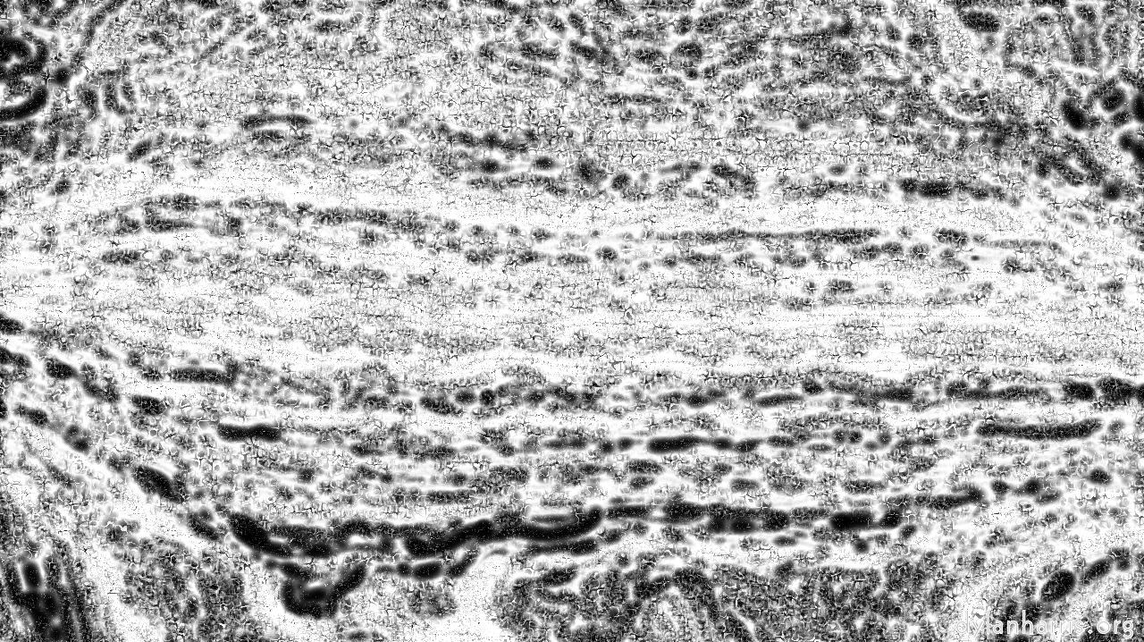 bwtexturehalkftoner1