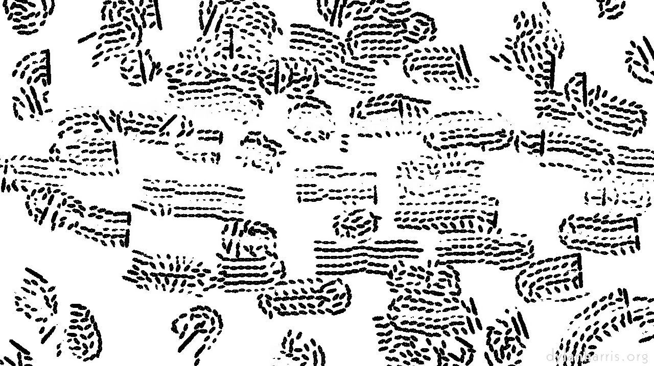 lithocoveragerake