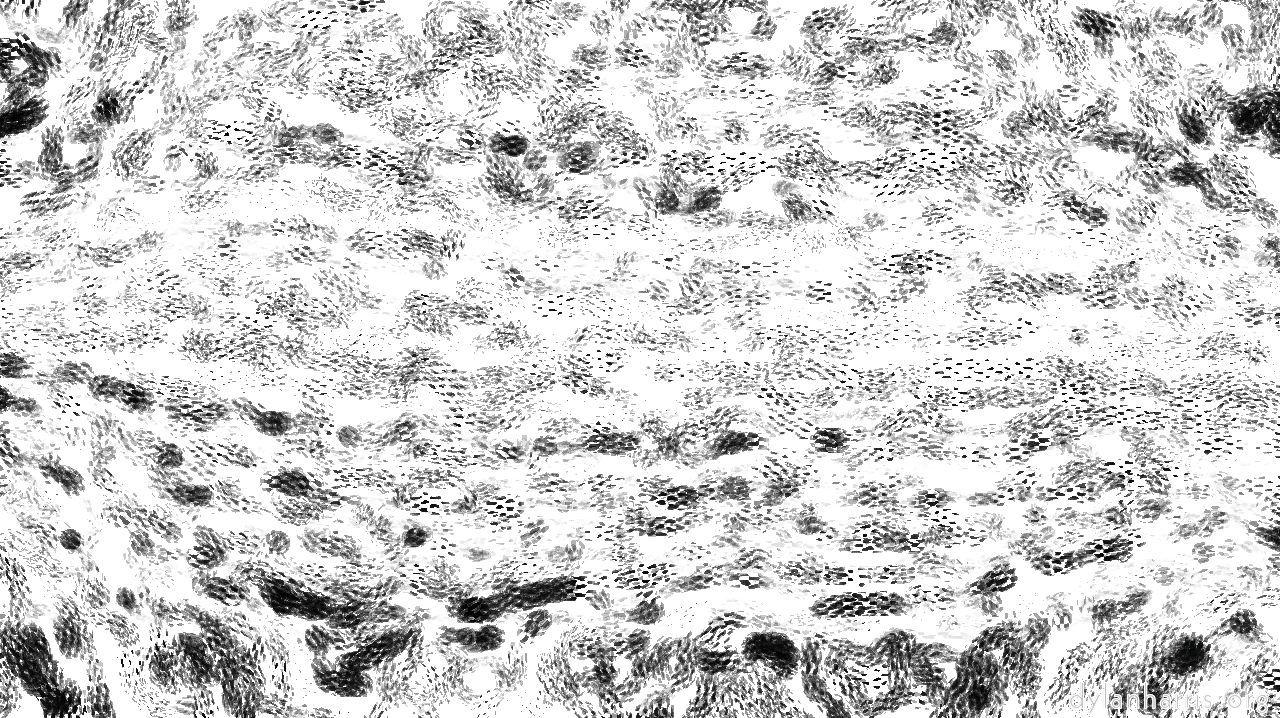 smartblackcharcolersketch1