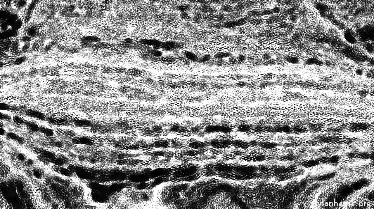 smartblackcharcolersketch1b