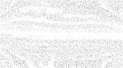 bw effects :: bwellipsehatcher1