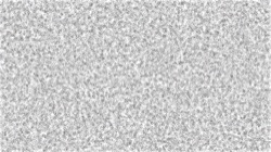 bw effects :: circlehatcher1