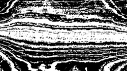 bw effects :: dither1