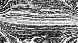bw effects :: p13