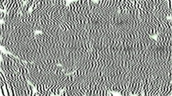 canvas manipulators :: maxoutbw1