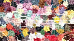 cloners :: patchy1