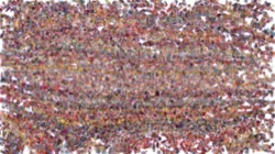 cloners :: plasticfoldover2