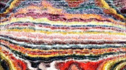 cloners :: texturecells2b