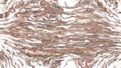 cloners 1 :: milkyparticlecloner1