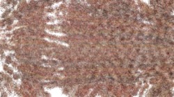 cloners 1 :: particlecloner2