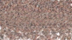 cloners 1 :: sandycloner1