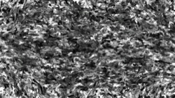 cloners 1 :: wetfinesplotchy2