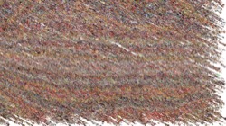 cloners 2 :: messyfollower1