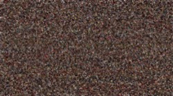 cloners 2 :: p8