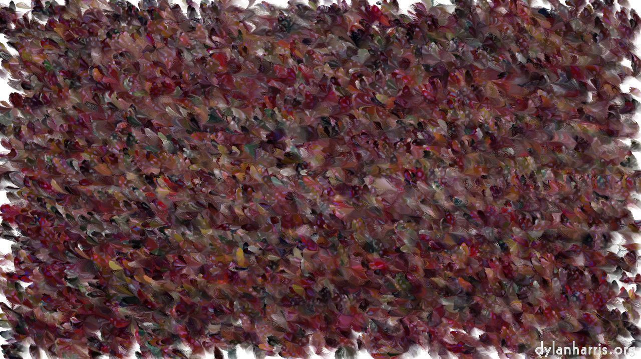 magnolia1