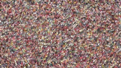 cloners 3 :: pellets1