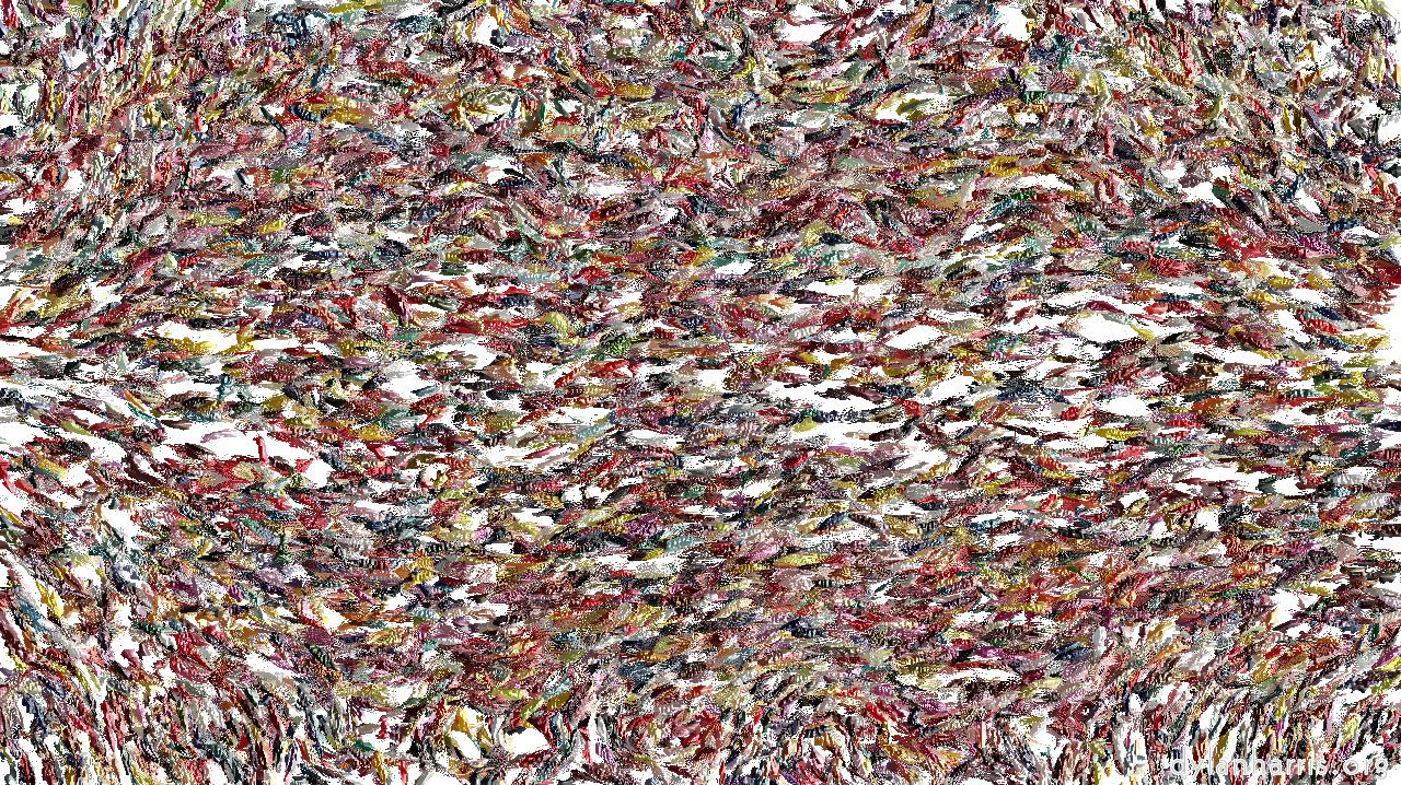 cellcloner4