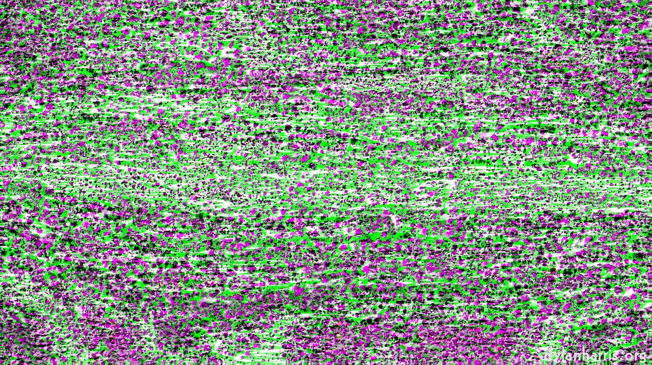sprackled1b