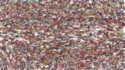 cloners 4 :: cellcloner4